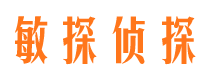 青神市调查公司